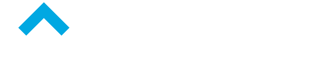 Duneane Asset Management Logo